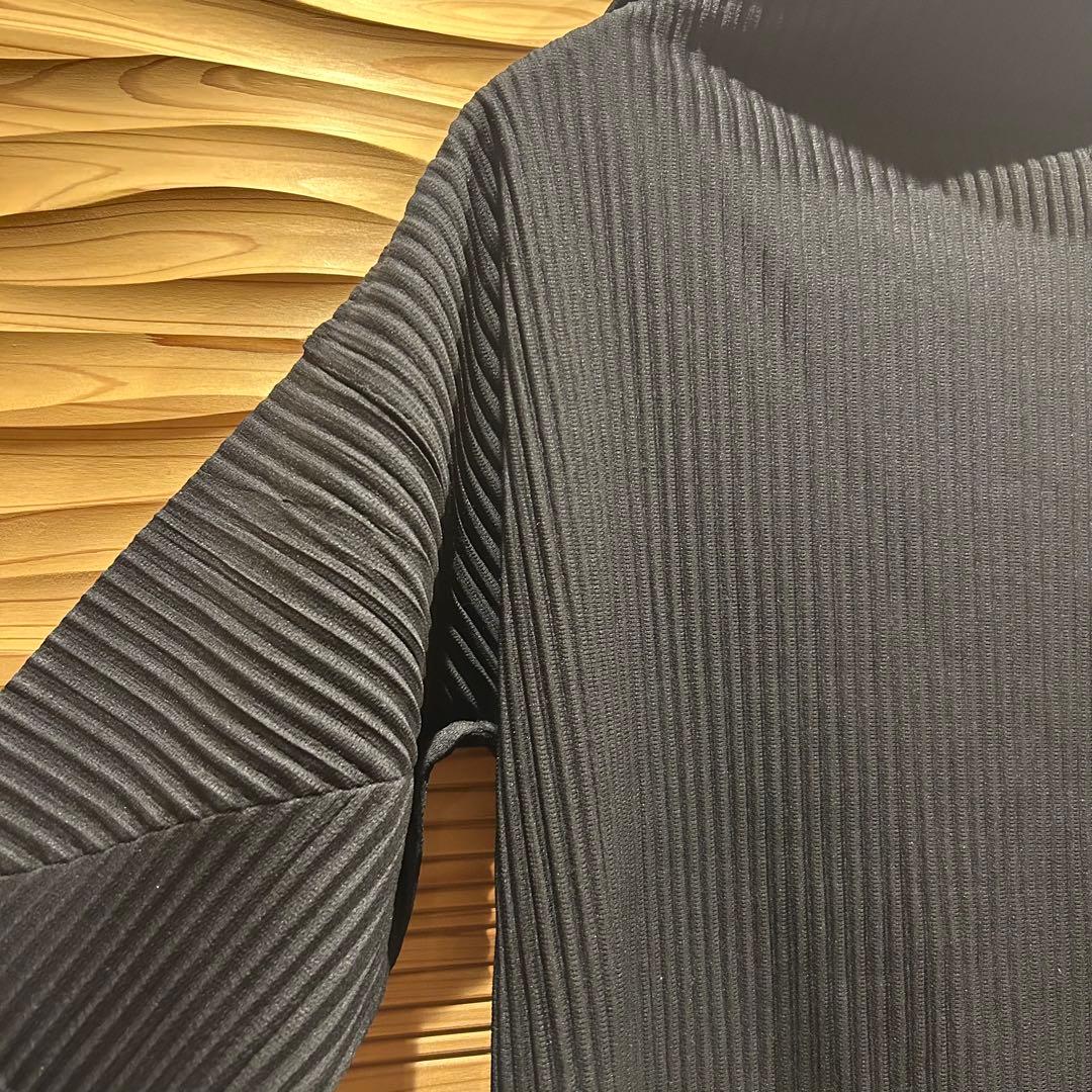 HOMME PLISSE ISSEI MIYAKE プリーツカットタートル　2