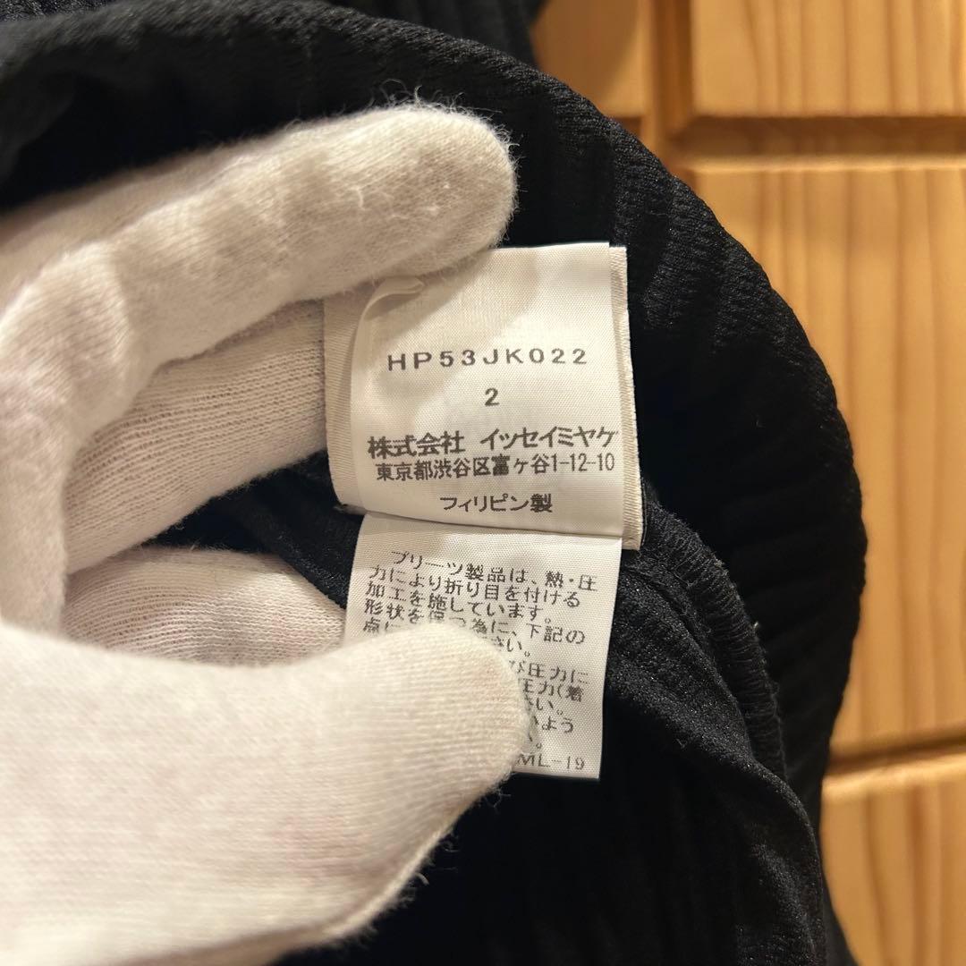 HOMME PLISSE ISSEI MIYAKE プリーツカットタートル　2
