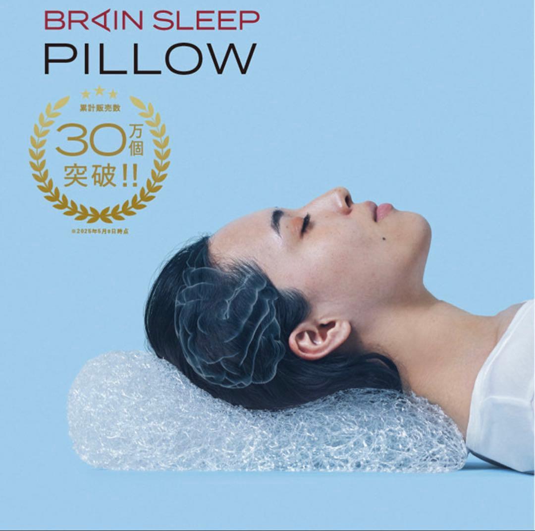 BRAIN SLEEP PILLOW (STANDARDサイズ)