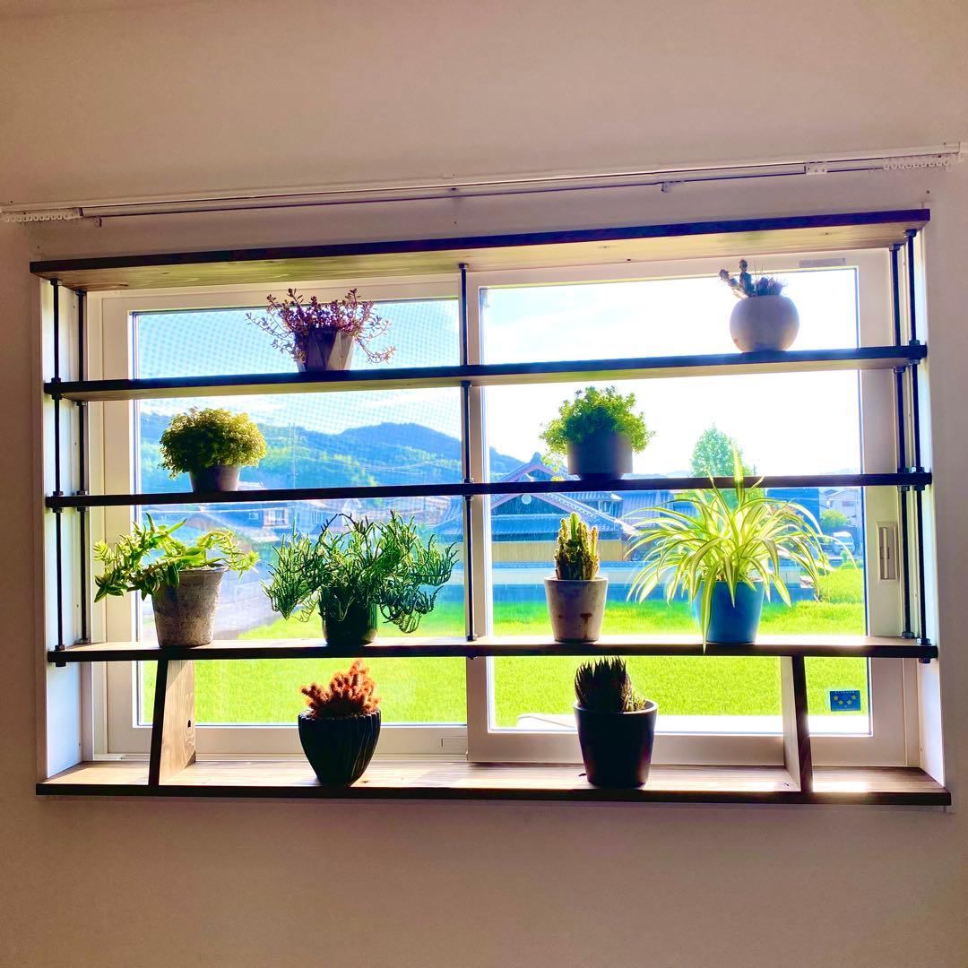 TVにて紹介されました 突っ張れて倒れない　窓枠ラック　tasty 3