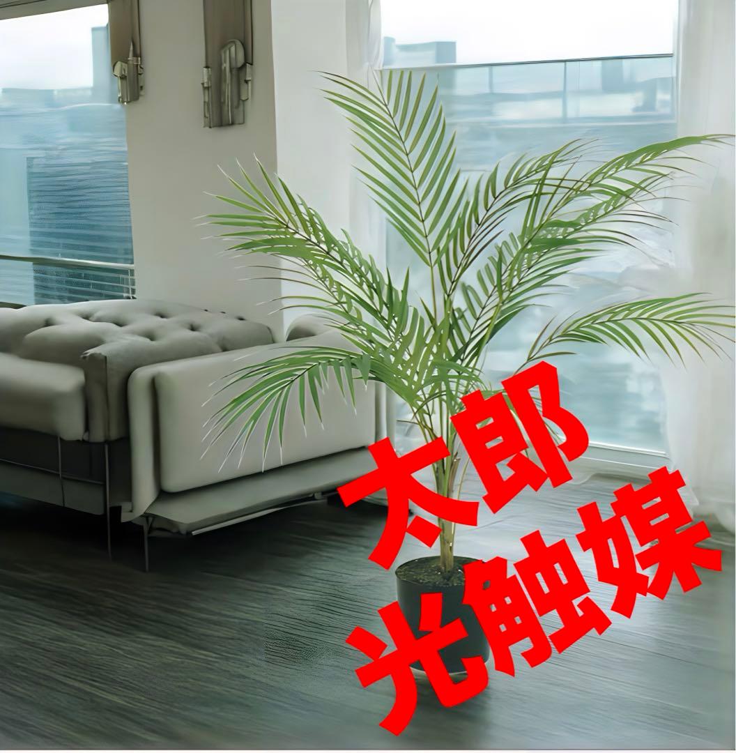 光触媒　人工観葉植物　ウォールグリーン　フェイクグリーン　アレカヤシパーム