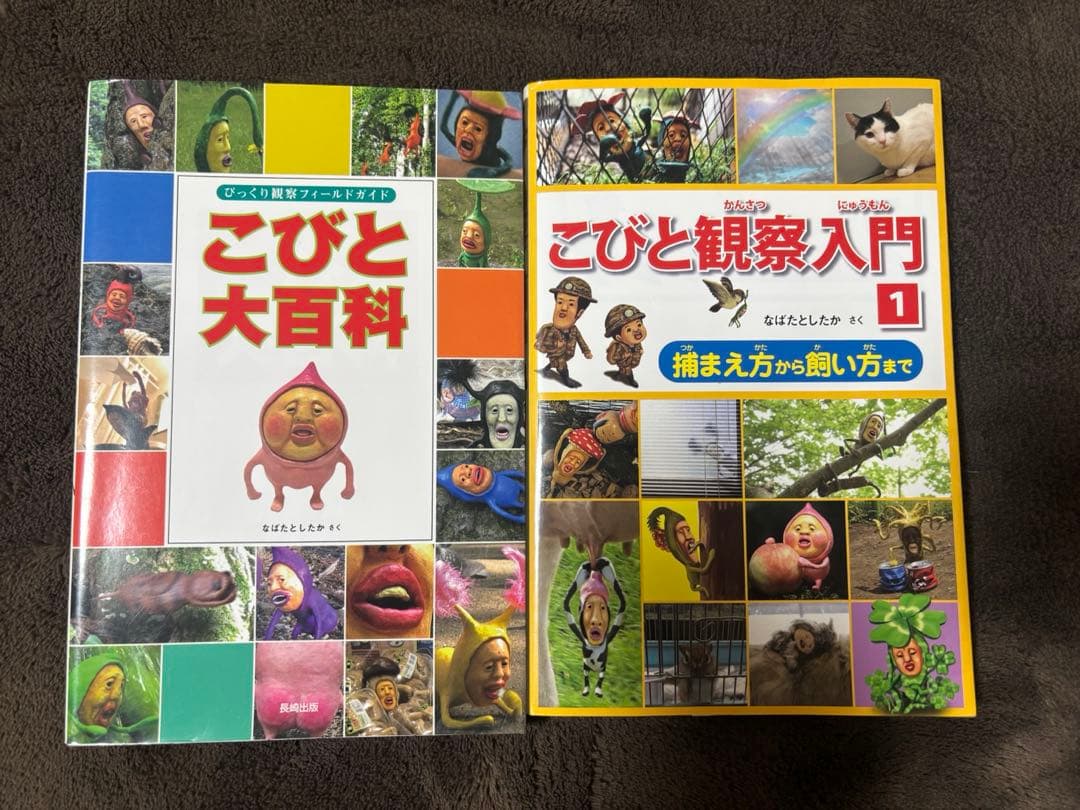 こびと観察入門 DVD BOXセット＋こびと観察入門1＋こびと大百科