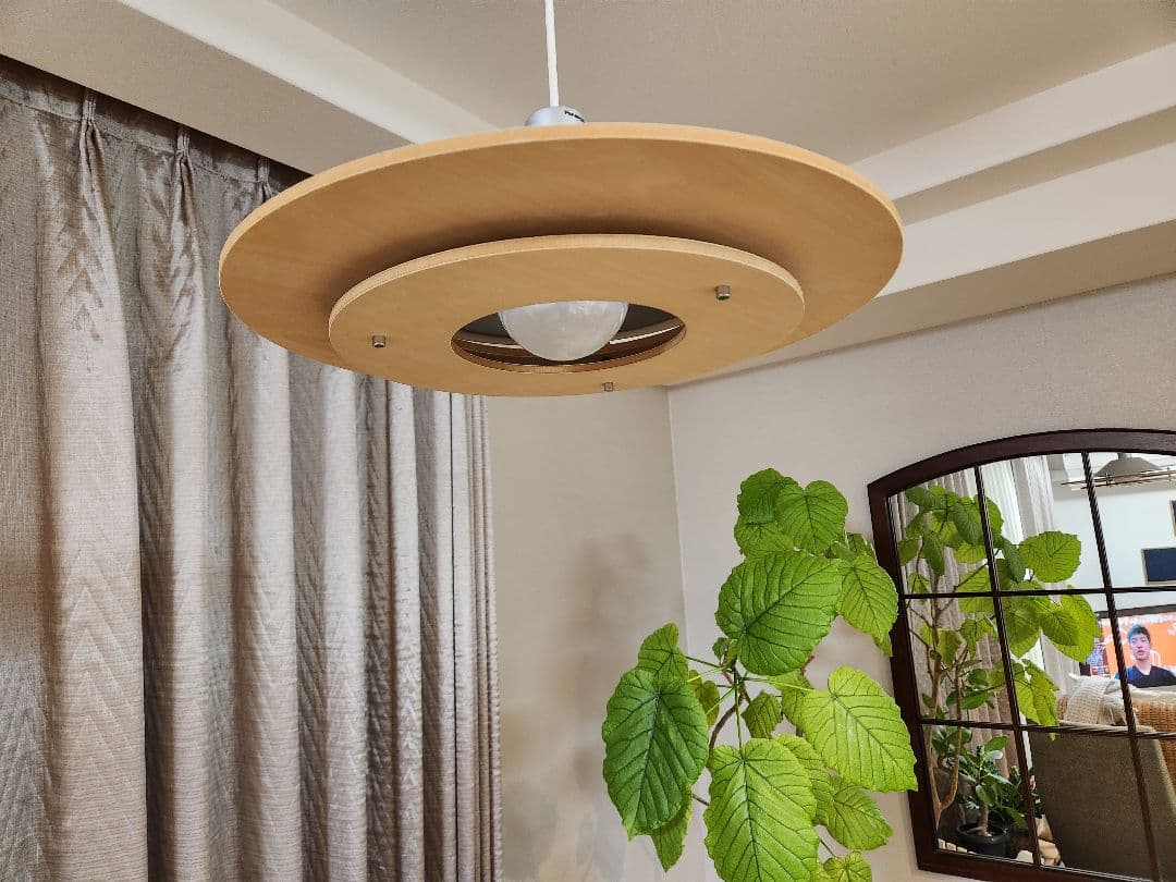 パナソニック ペンダントライト HH-LP360L 電球つき