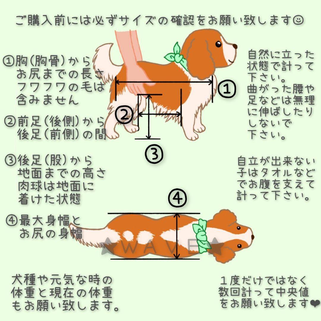 カズズ　犬用車椅子　犬の歩行器　歩行補助サポート　犬の車いす　トイプー