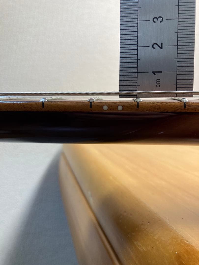 Edwards エドワーズ E-FV-120