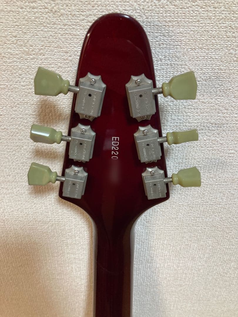 Edwards エドワーズ E-FV-120