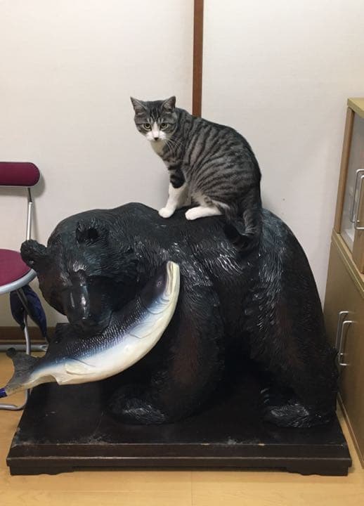 木彫りの熊