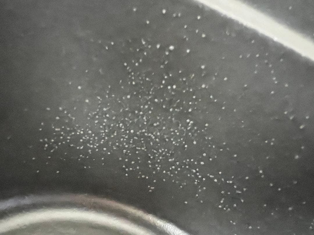 Staub ストウブ 鍋 オバール グレナディンレッド 23cm