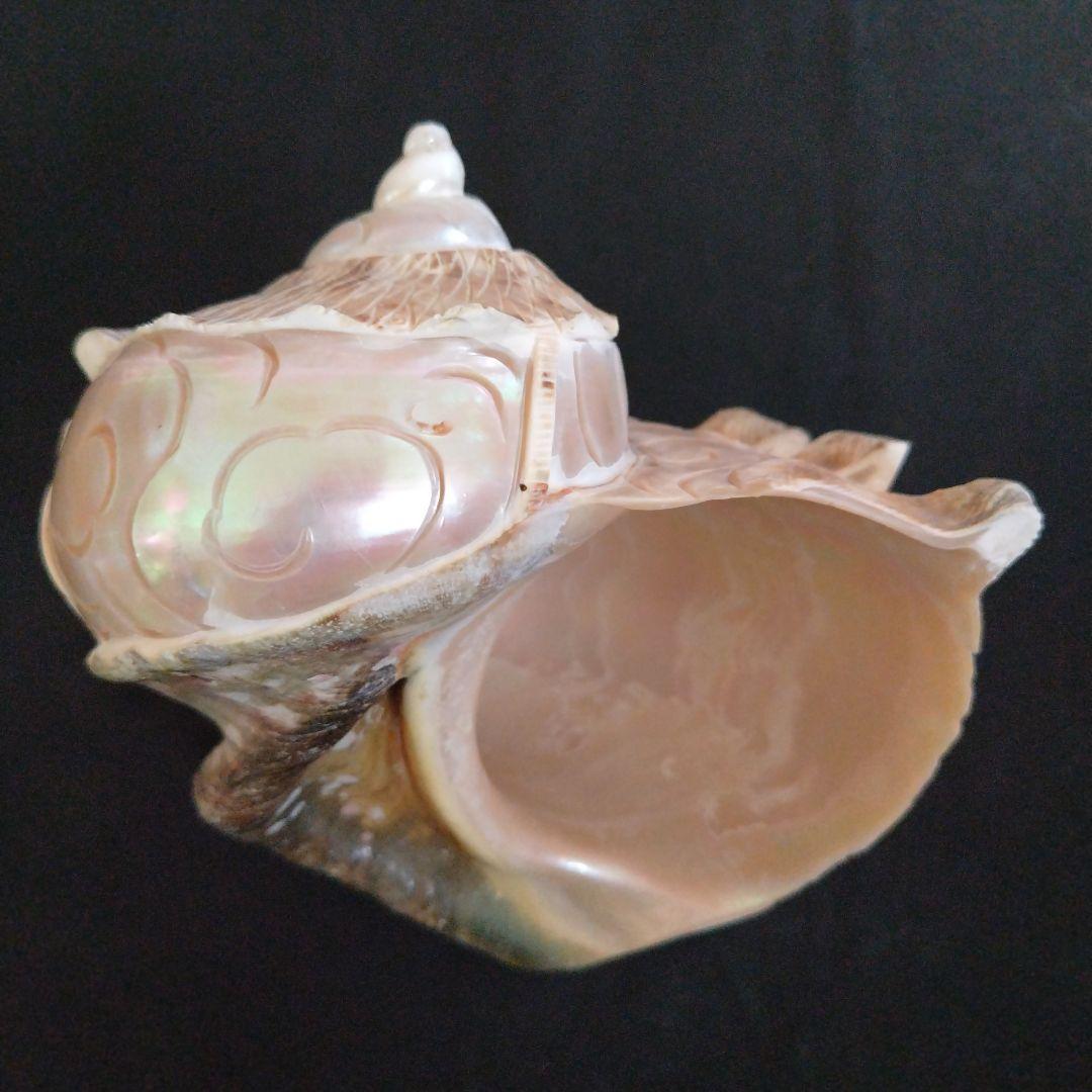 貝殻　置物　龍　鳳凰　彫刻