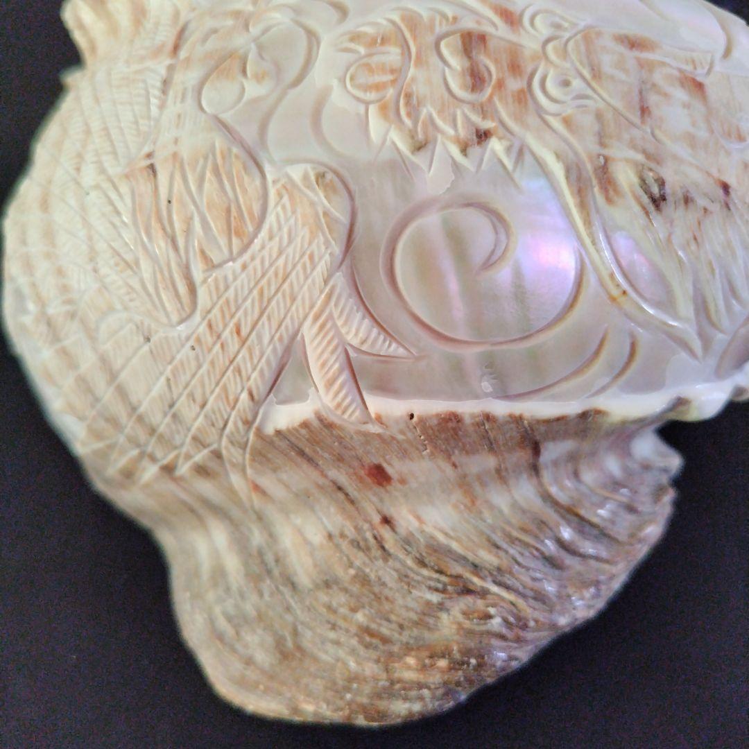 貝殻　置物　龍　鳳凰　彫刻