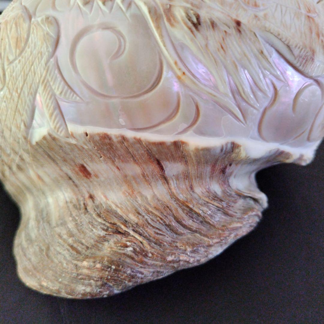 貝殻　置物　龍　鳳凰　彫刻