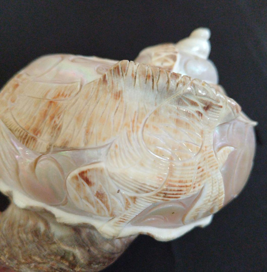 貝殻　置物　龍　鳳凰　彫刻
