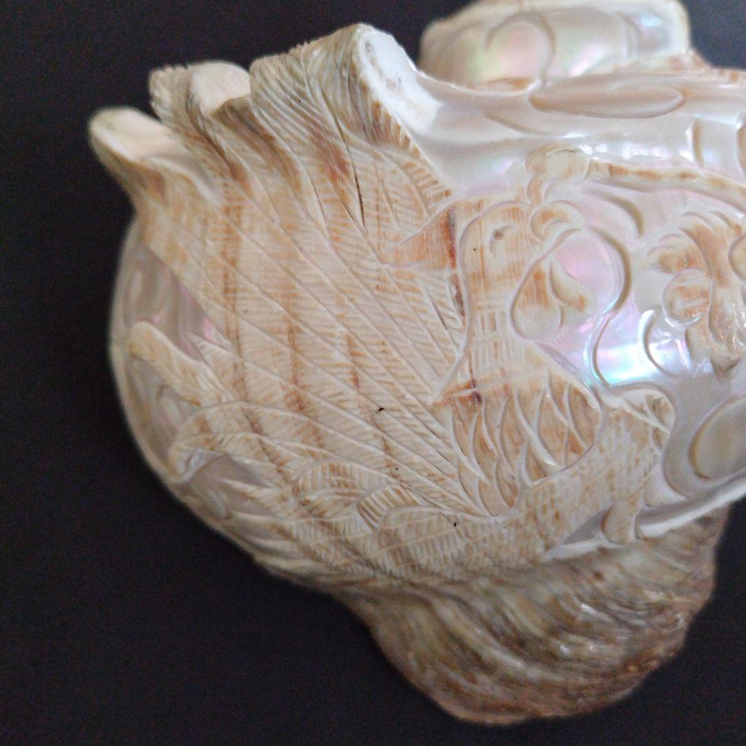 貝殻　置物　龍　鳳凰　彫刻