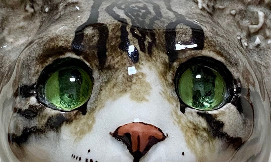 ウィンスタンレイキャット　ケンジントンキャット✨真緑の瞳✨激レア猫✨サイズ7❣️