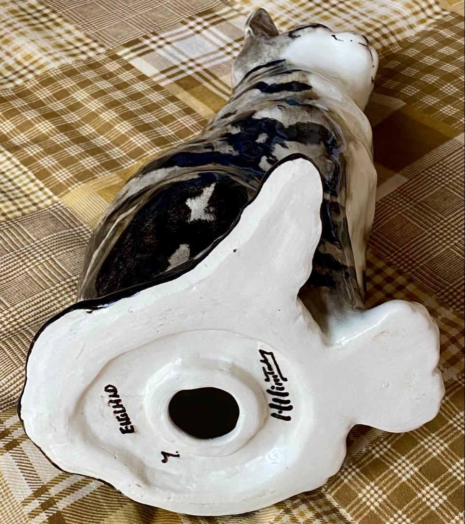 ウィンスタンレイキャット　ケンジントンキャット✨真緑の瞳✨激レア猫✨サイズ7❣️