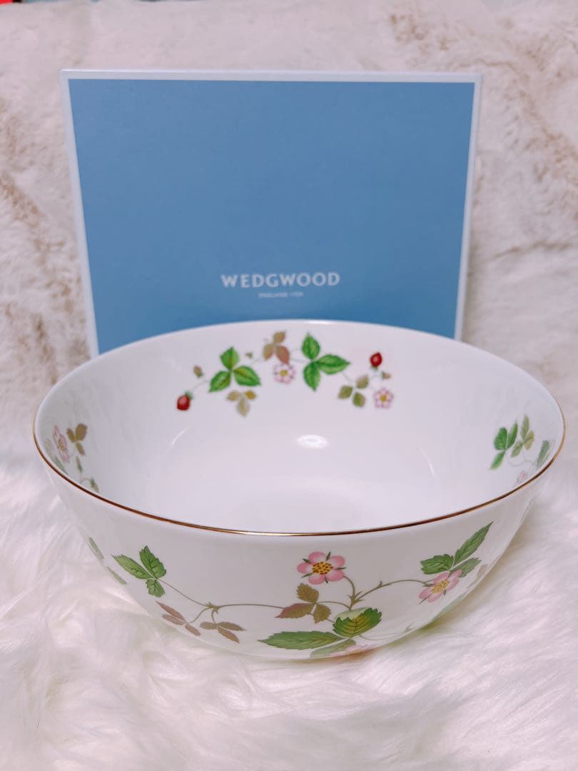  ワイルドストロベリー　サラダボウル