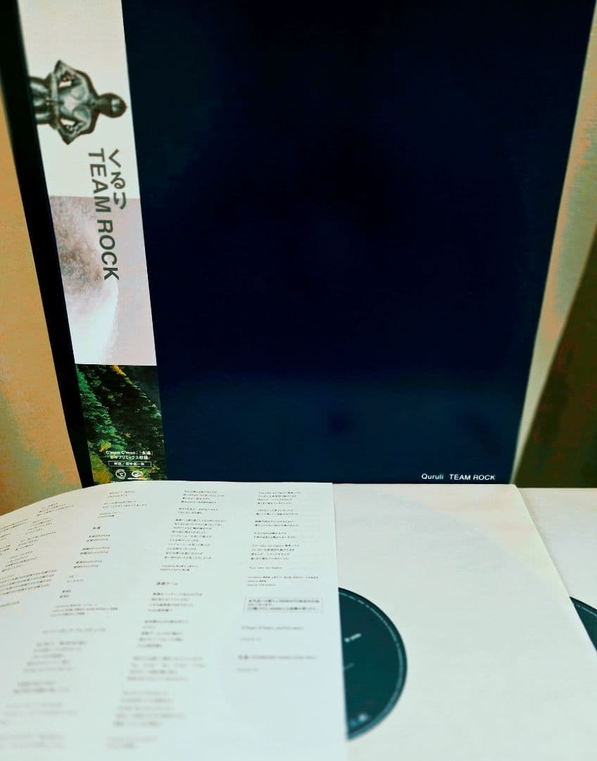 だ*ご様 極美品!帯付き!くるり　team rock オリジナル盤!アナログ!