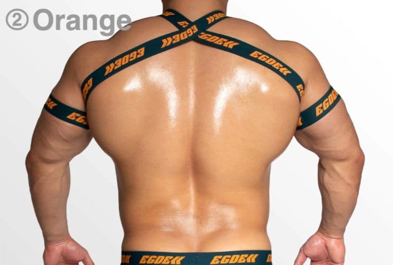 EGDE MOTION ハーネス&ジョック L-XL セット Orange