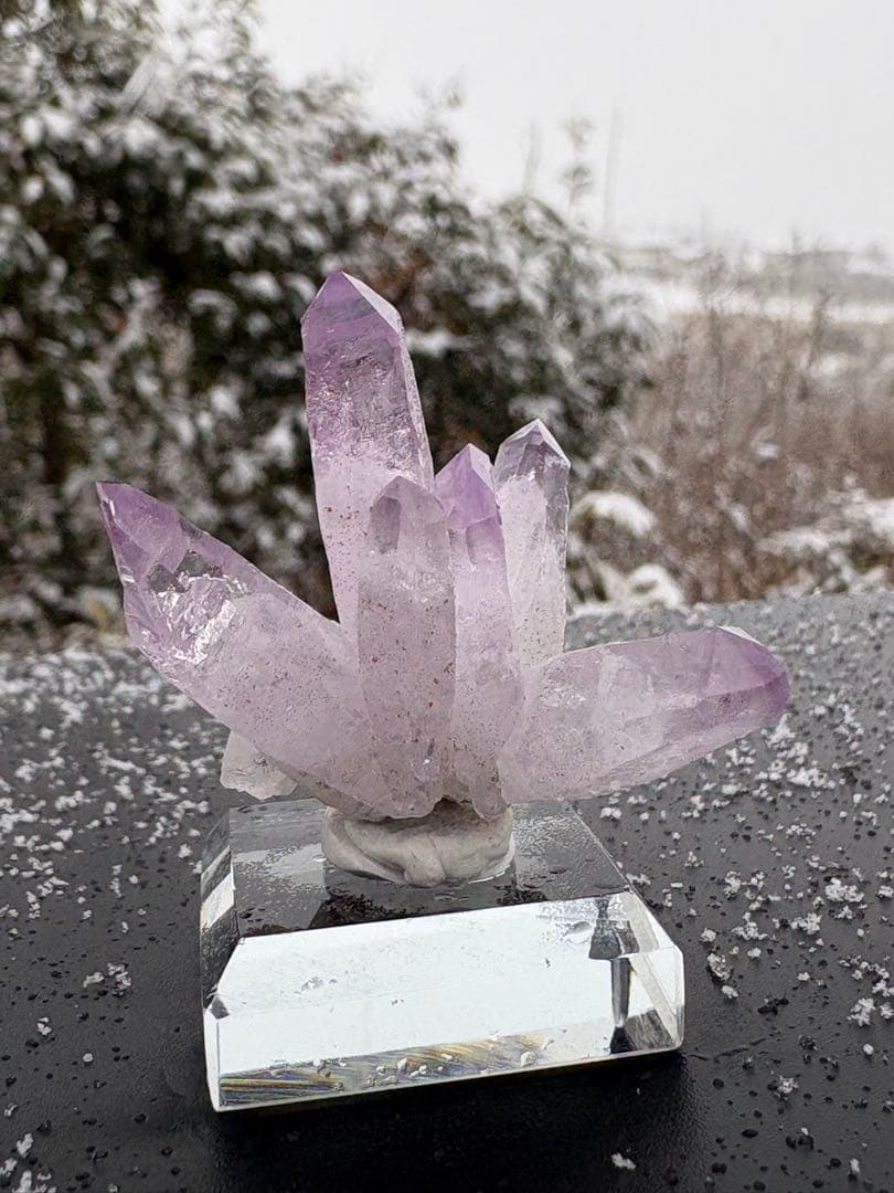 ❤️超レア　綺麗　ベラクルスアメジスト　 花　クラスター　紫水晶　原石　標本