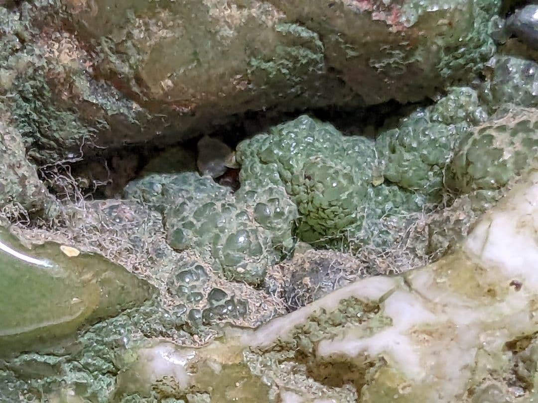 ♦鑑賞石飾り 置物？ 中国翡翠 水石 盆石 鉱物 置物 飾り 骨董品