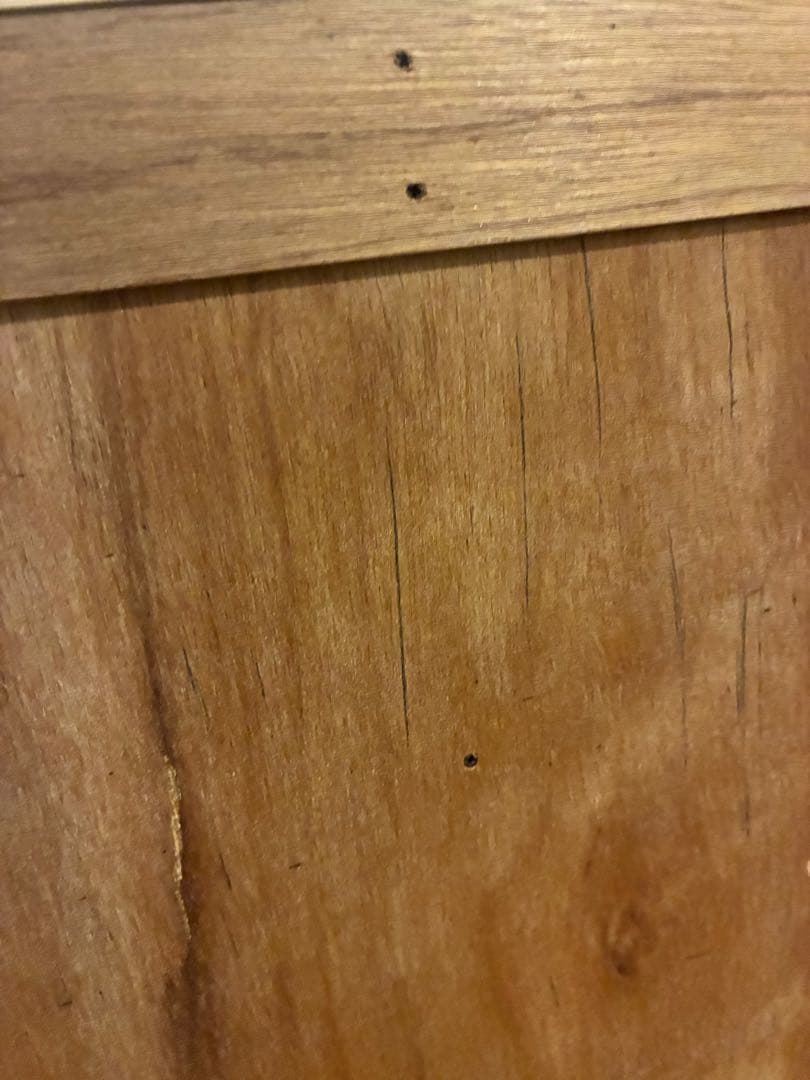 graf × scope / messy メッシー　メープル