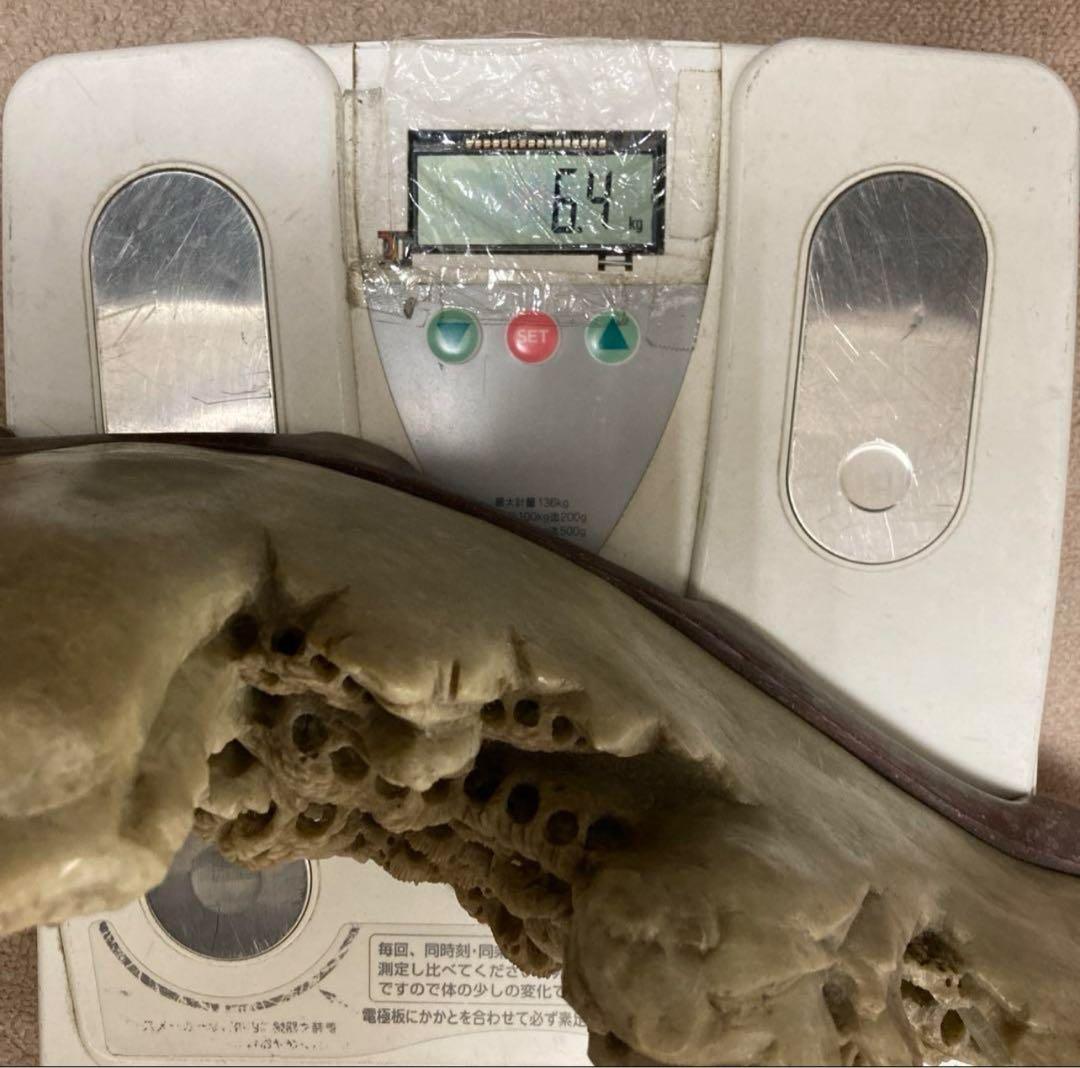 清代 青田石 石製　楼閣山水大サイズ置物　6.4㌔/横幅約40㎝