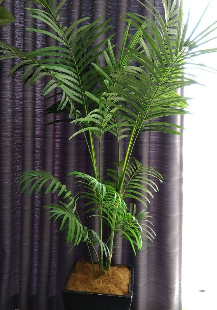 人工観葉植物 緑色 高さ約180cm