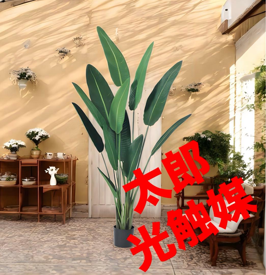 光触媒　人工観葉植物　ウォールグリーン　フェイクグリーン　トラベルパーム21