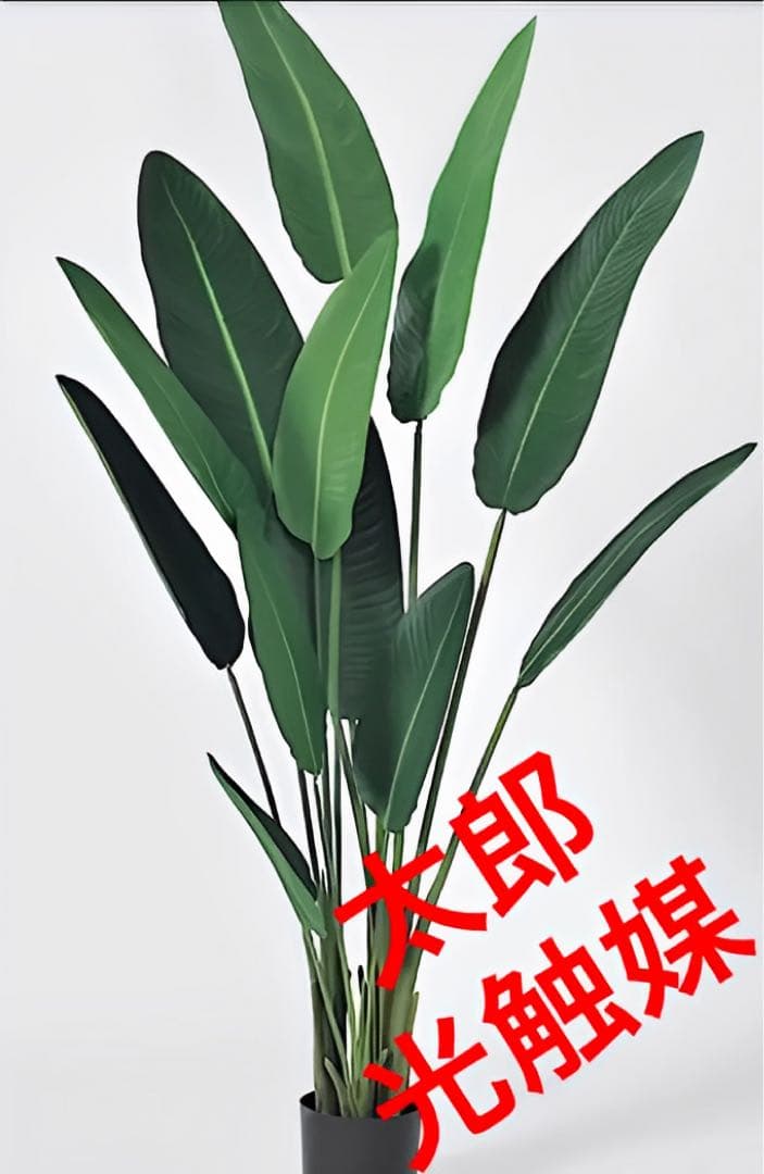 光触媒　人工観葉植物　ウォールグリーン　フェイクグリーン　トラベルパーム21