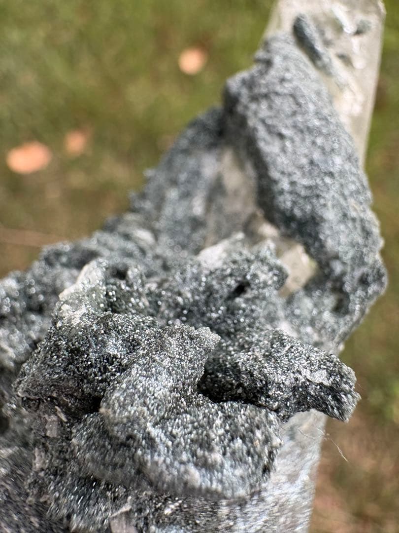 【匿名発送】インド産　クローライトインクォーツ