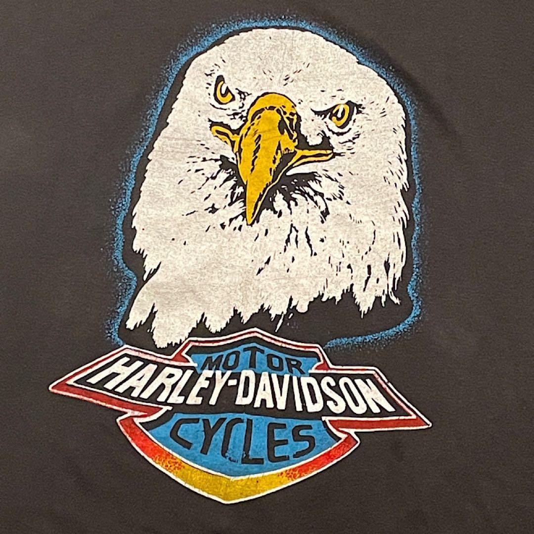 フォロー割ポコ　激レア 70s80s パキ綿ハーレーダビッドソンカットオフ