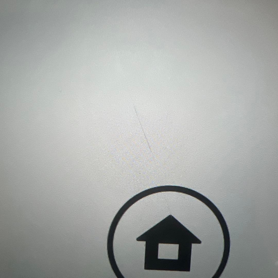 Nintendo Switch lite ポケモンデザイン