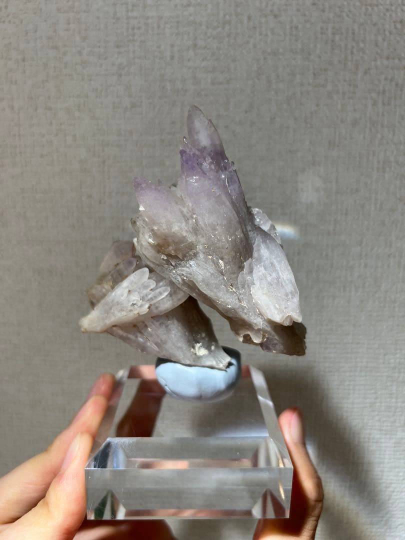 【本日限定】国産鉱物　富井鉱山　紫水晶群晶