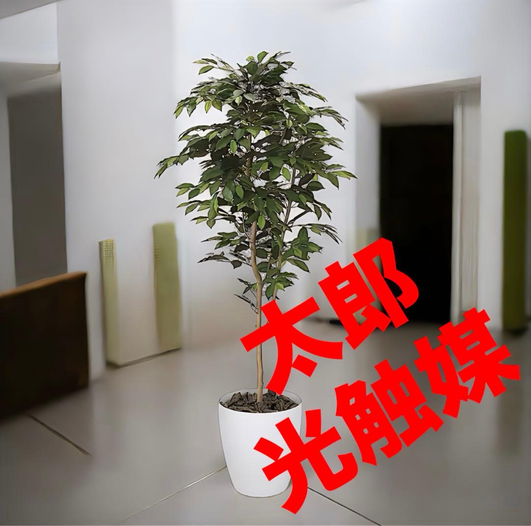 光触媒　人工観葉植物　ウォールグリーン　フェイクグリーン　ベンジャミン16