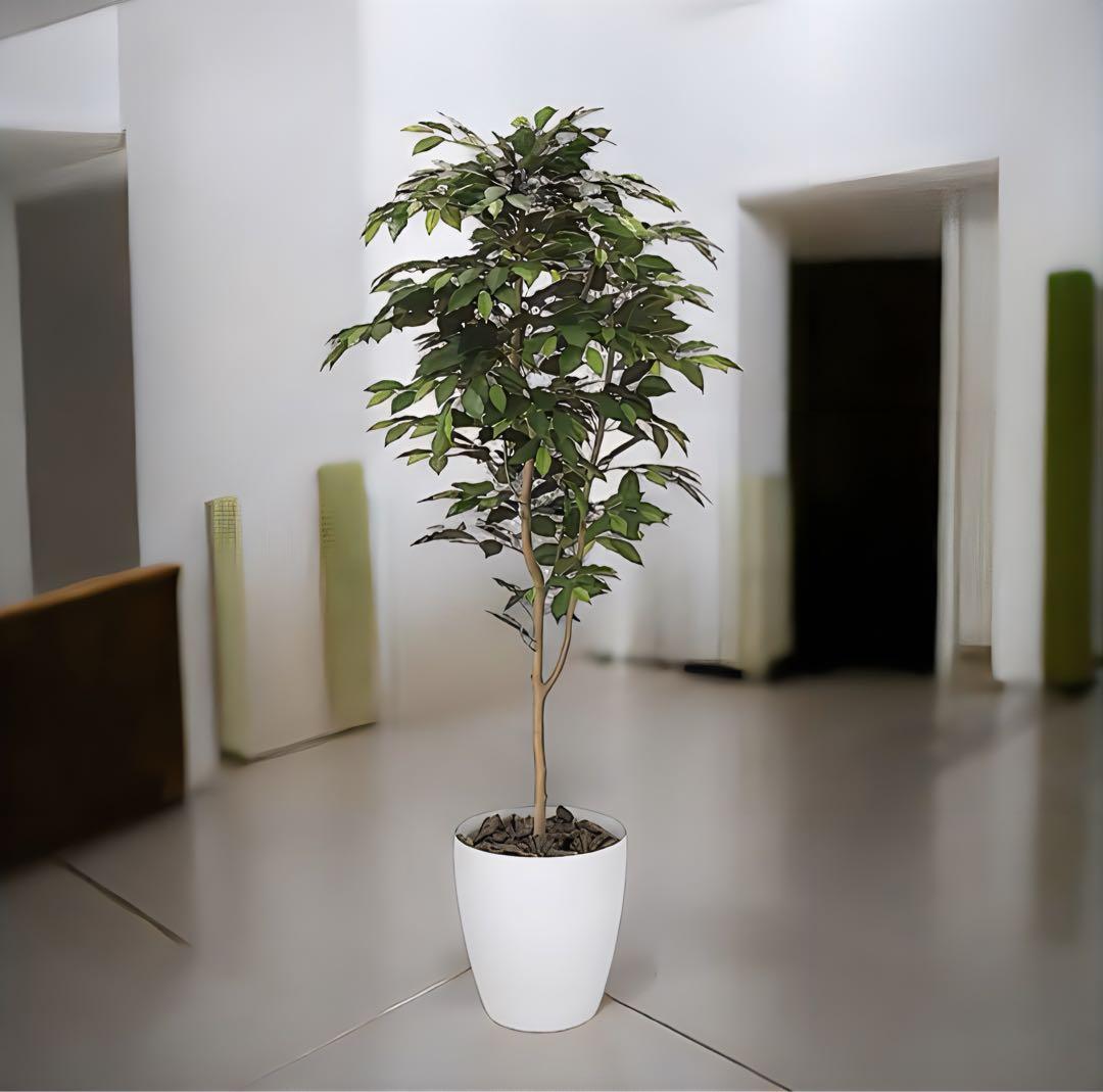 光触媒　人工観葉植物　ウォールグリーン　フェイクグリーン　ベンジャミン16