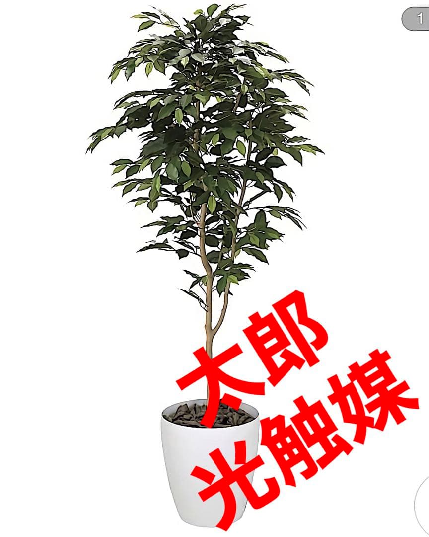 光触媒　人工観葉植物　ウォールグリーン　フェイクグリーン　ベンジャミン16