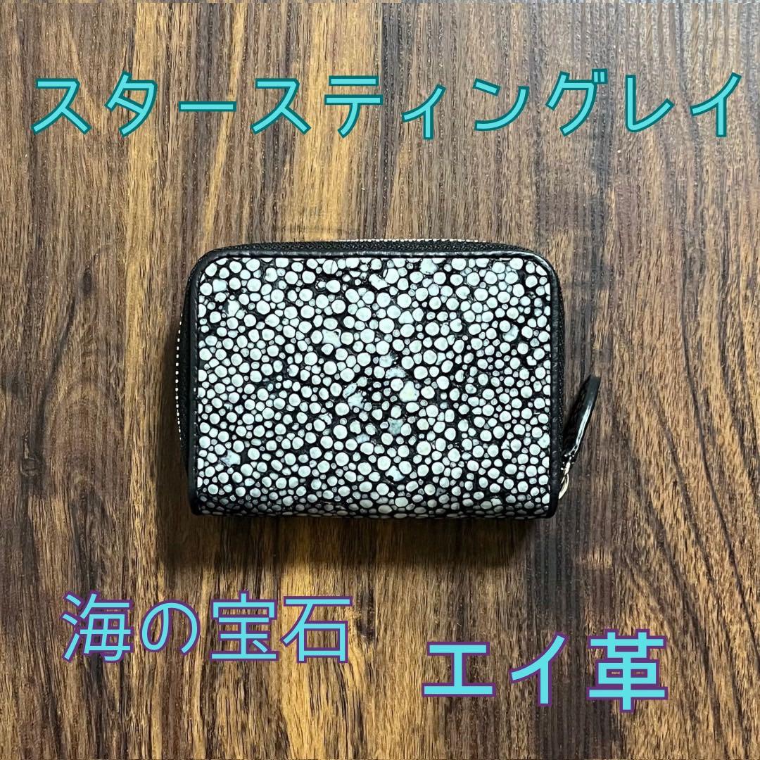 【新品・未使用】スタースティングレイ　ケース　カードケース　海の宝石　エイ