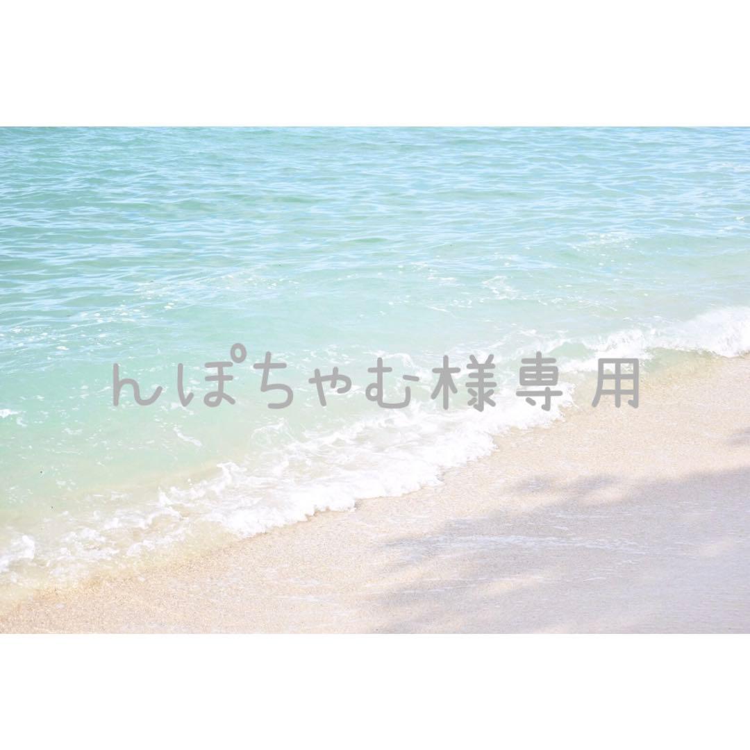 んぽちゃむ♡新品♡ スーツケース NOBLEグリフィンランド S