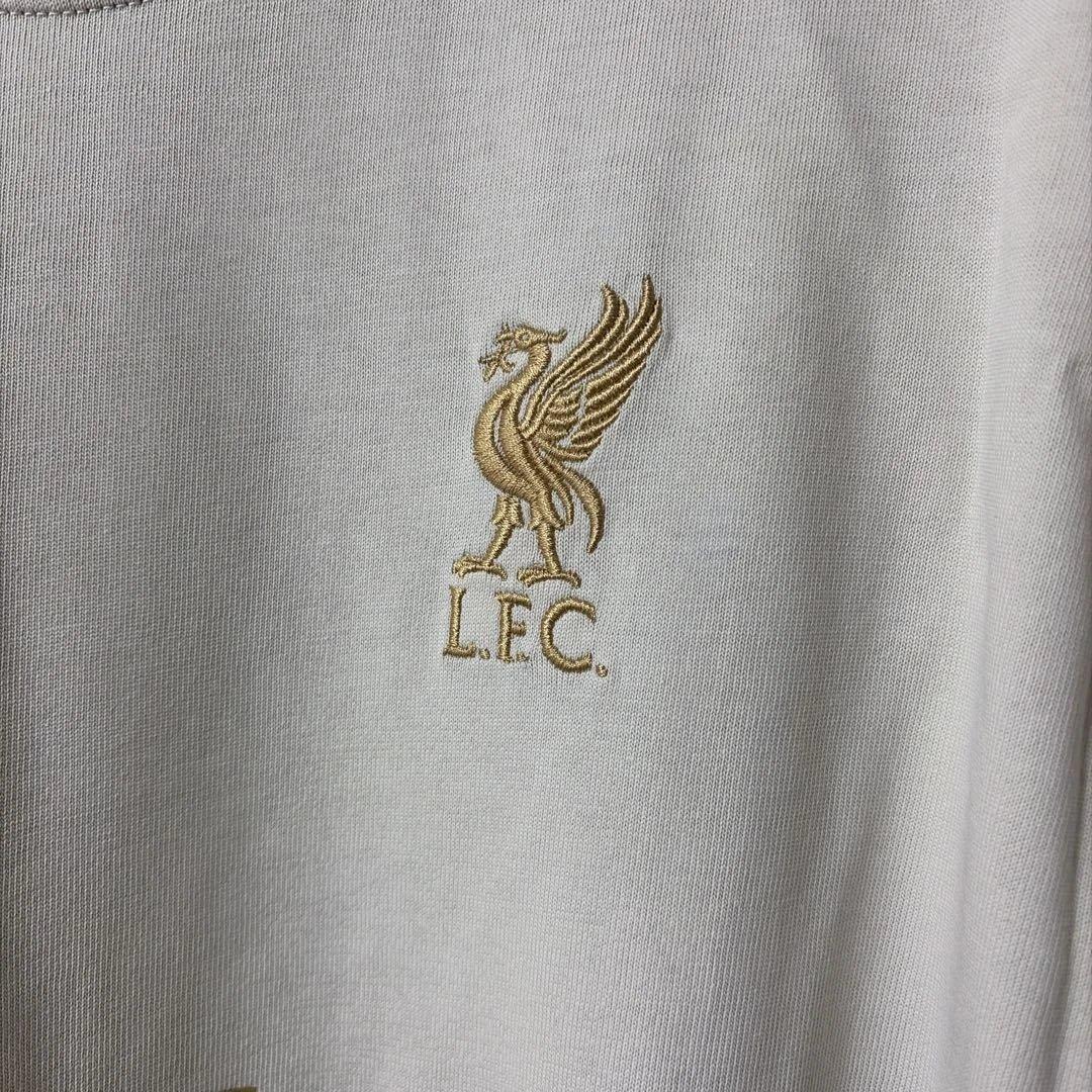 NIKE レブロン×リバプールFC Max90 Mサイズ