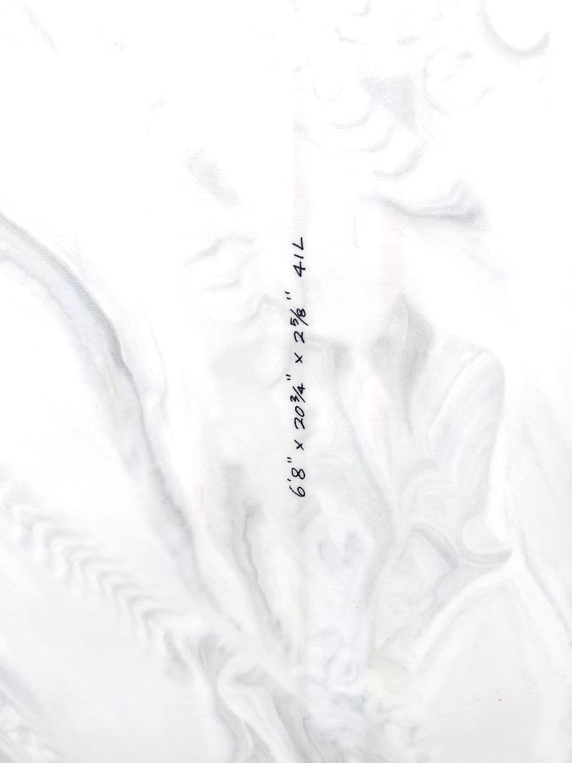 ウォーターランページソフトボード 6’8 ハードボトム フィン付 【手渡し限定】