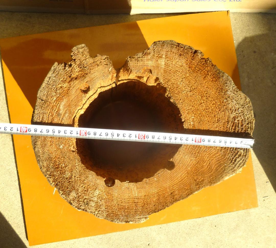 【多群入居実績あり】大寸、杉丸太（A）