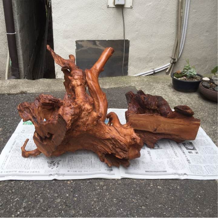 木株の置物  天然木のオブジェ