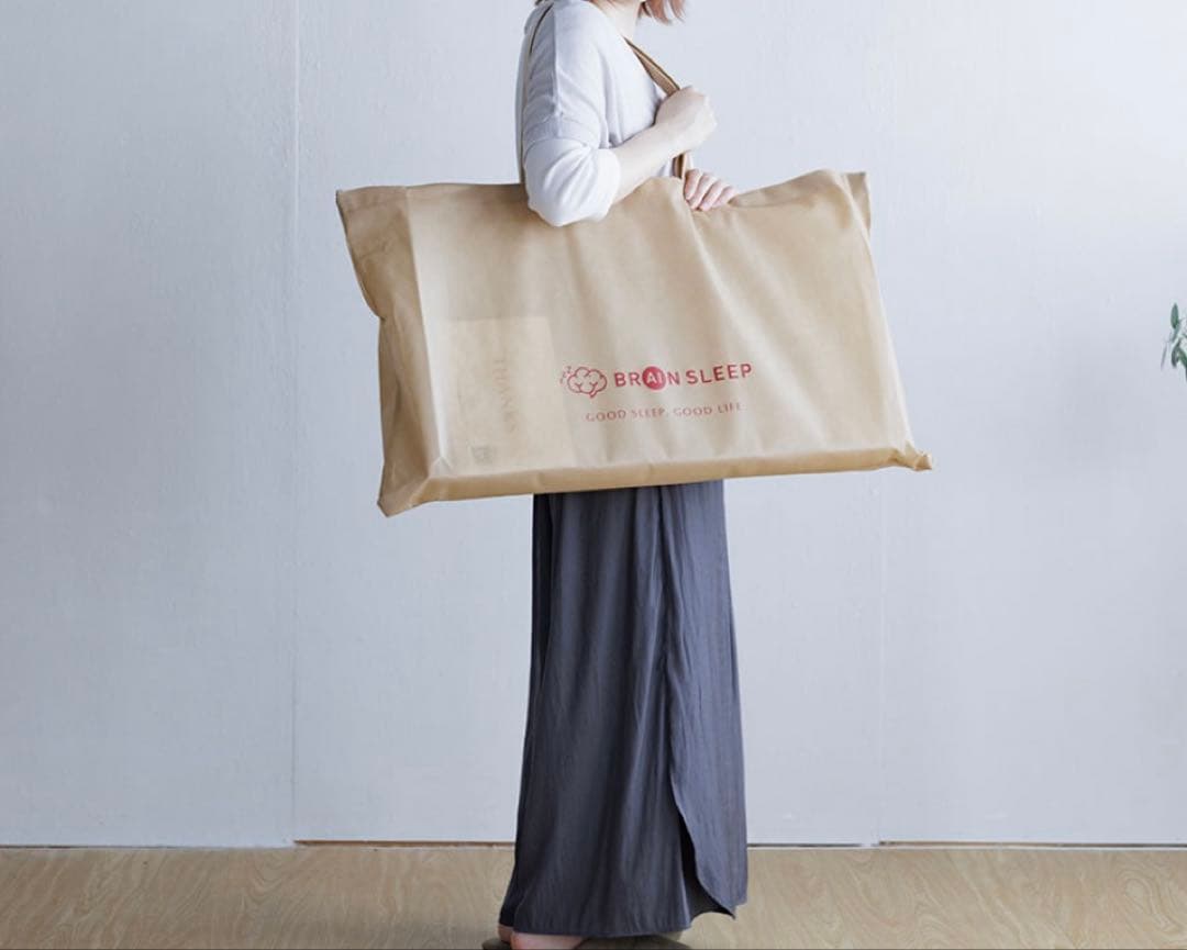 【美品】ブレインスリープピロー NEWWAVE 枕カバー付き