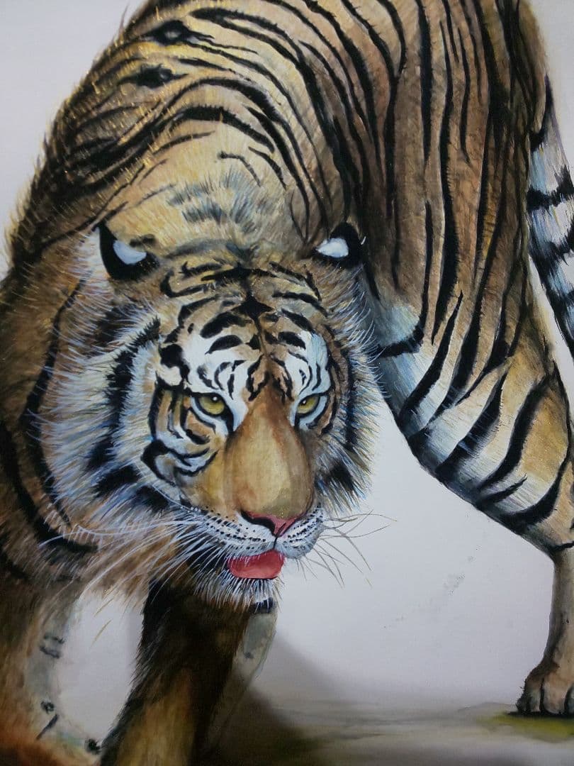 手描き水彩画 虎 寅 絵画
