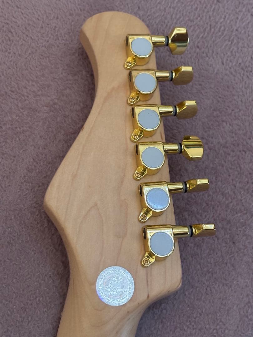 Bacchus TACTICS-BP/R BD-B テレキャスタータイプ