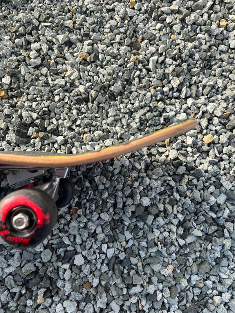 熊*拳様 Element スケートボード コンプリート