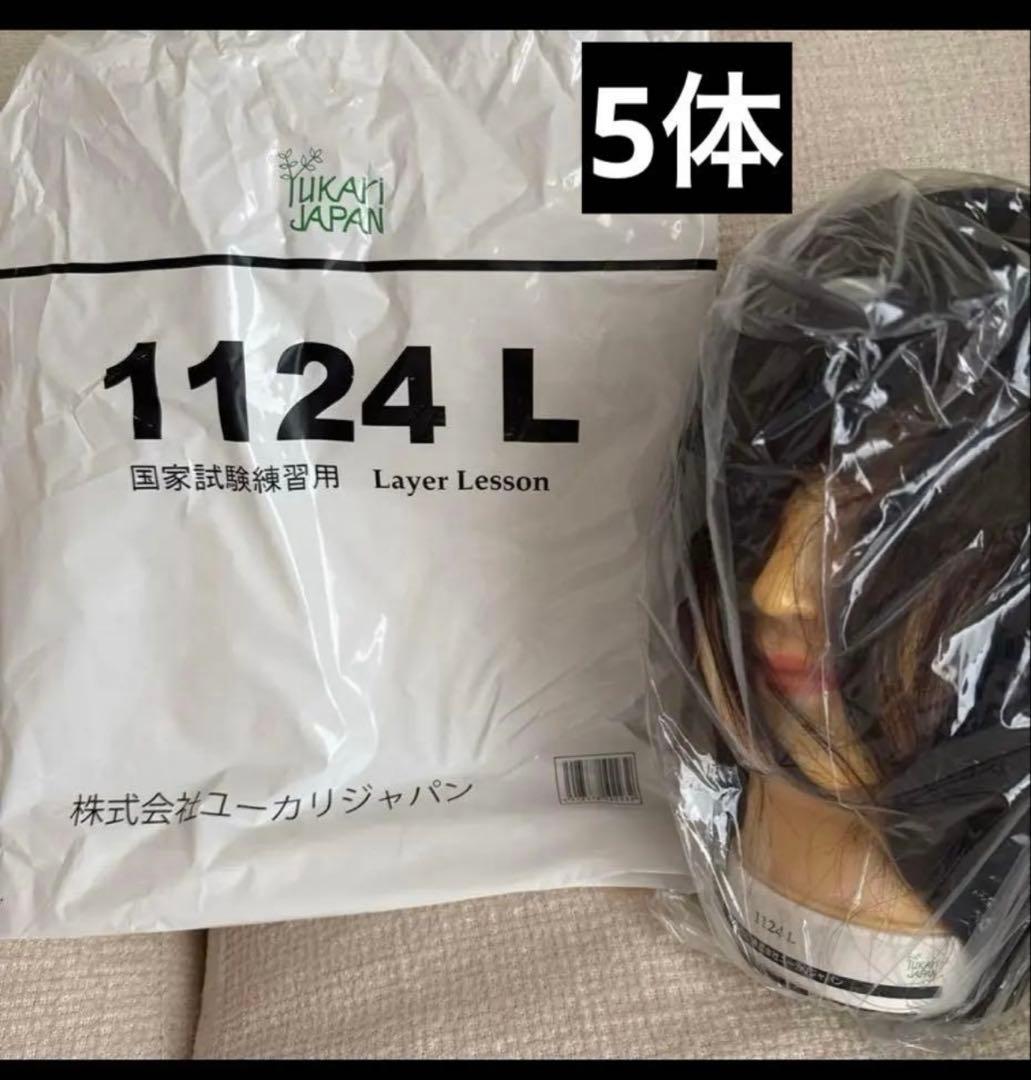 国家試験練習用ウィッグ 5体 ユーカリ1124L