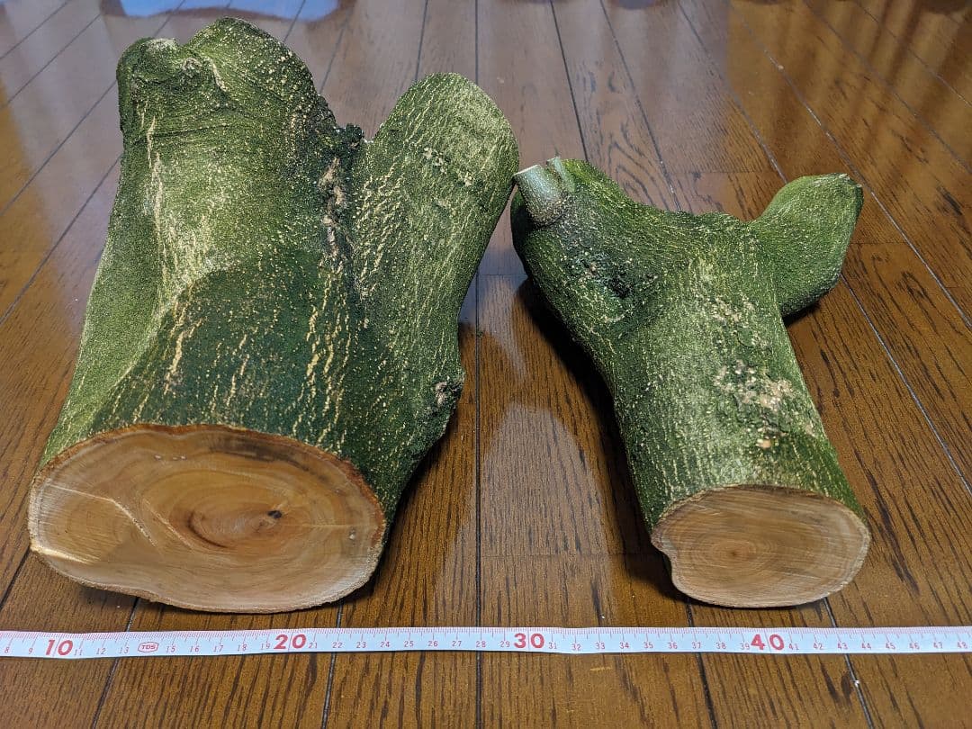 オリーブ　剪定枝　太枝　極太　太木挿し　挿し木　2本