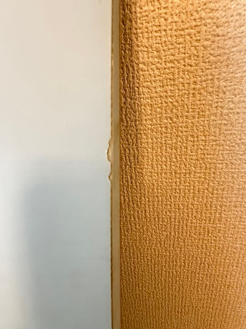 NITRO QUIVER Squash 153 スノーボード