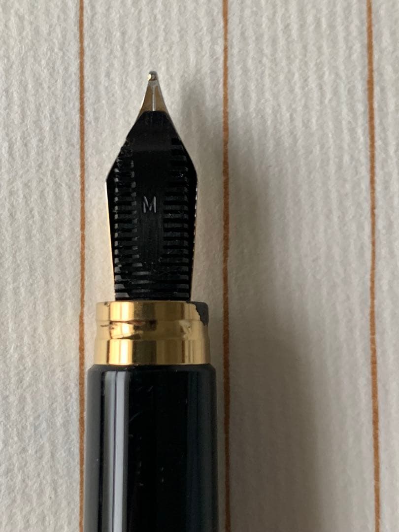 Waterman（ウォーターマン） 限定 MAN 100 万年筆